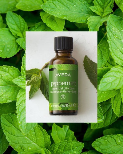 peppermint essential oil + base